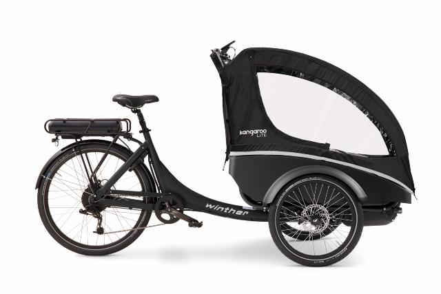 Kangaroo Dog_Black_Black